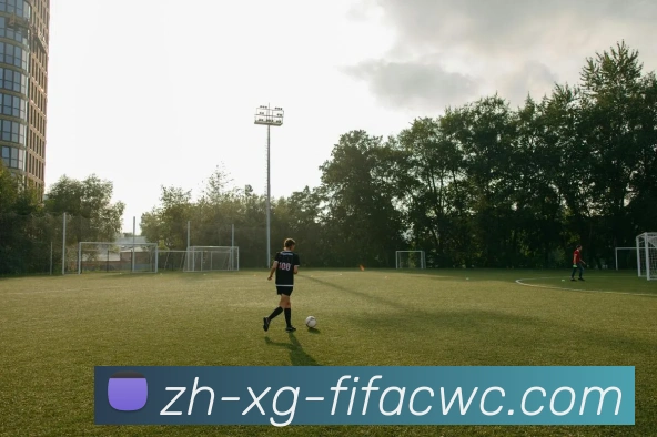 世界杯在线观看品牌故事