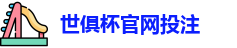2025世界俱乐部杯